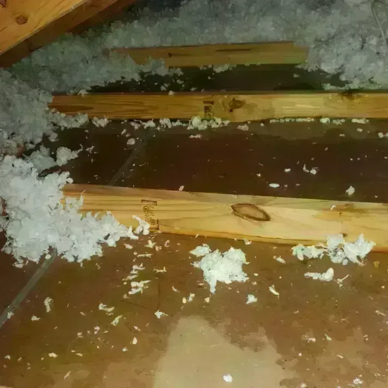 Attic Water Damage in Lakewood, IL