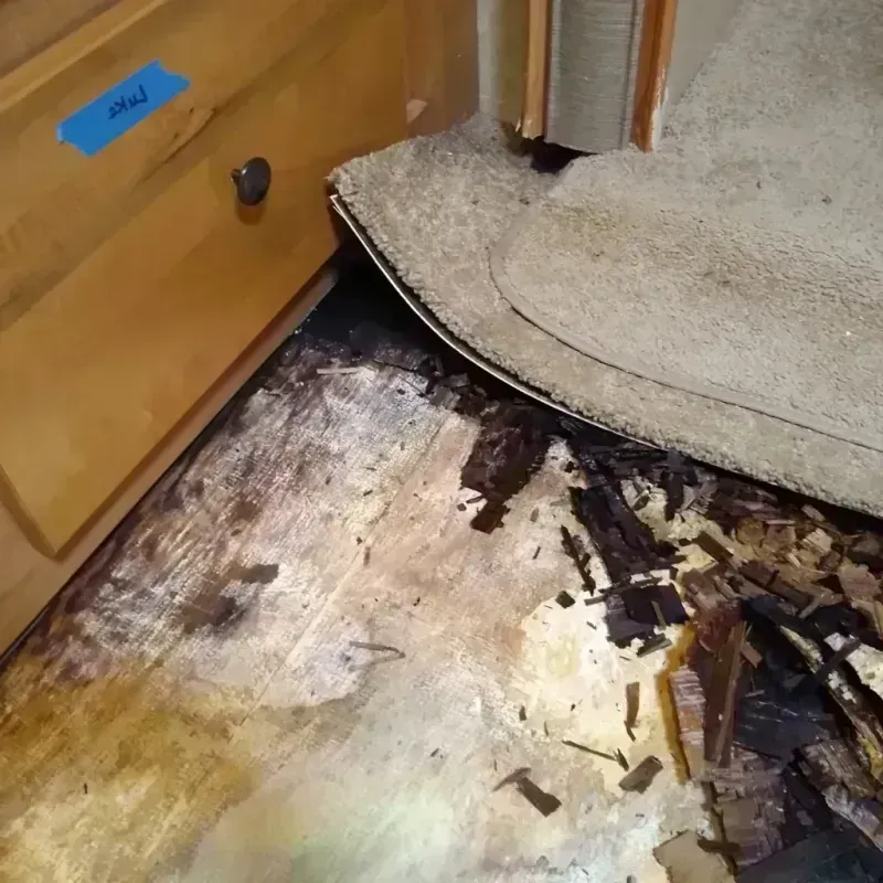 Wood Floor Water Damage in Lakewood, IL